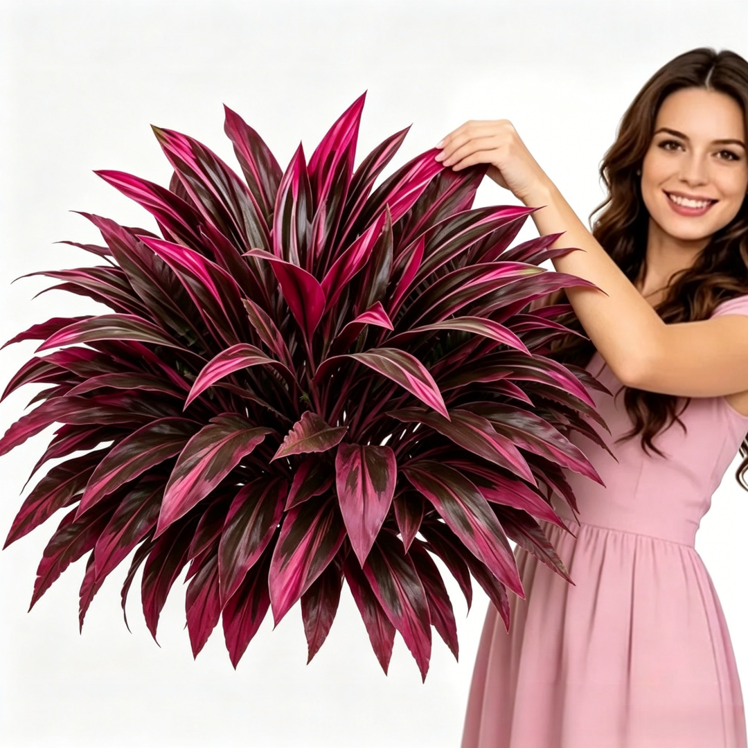 💥48" Large UV-Resistant Artificial Dracaena Plant – Full, Lush & Fade-Resistant!