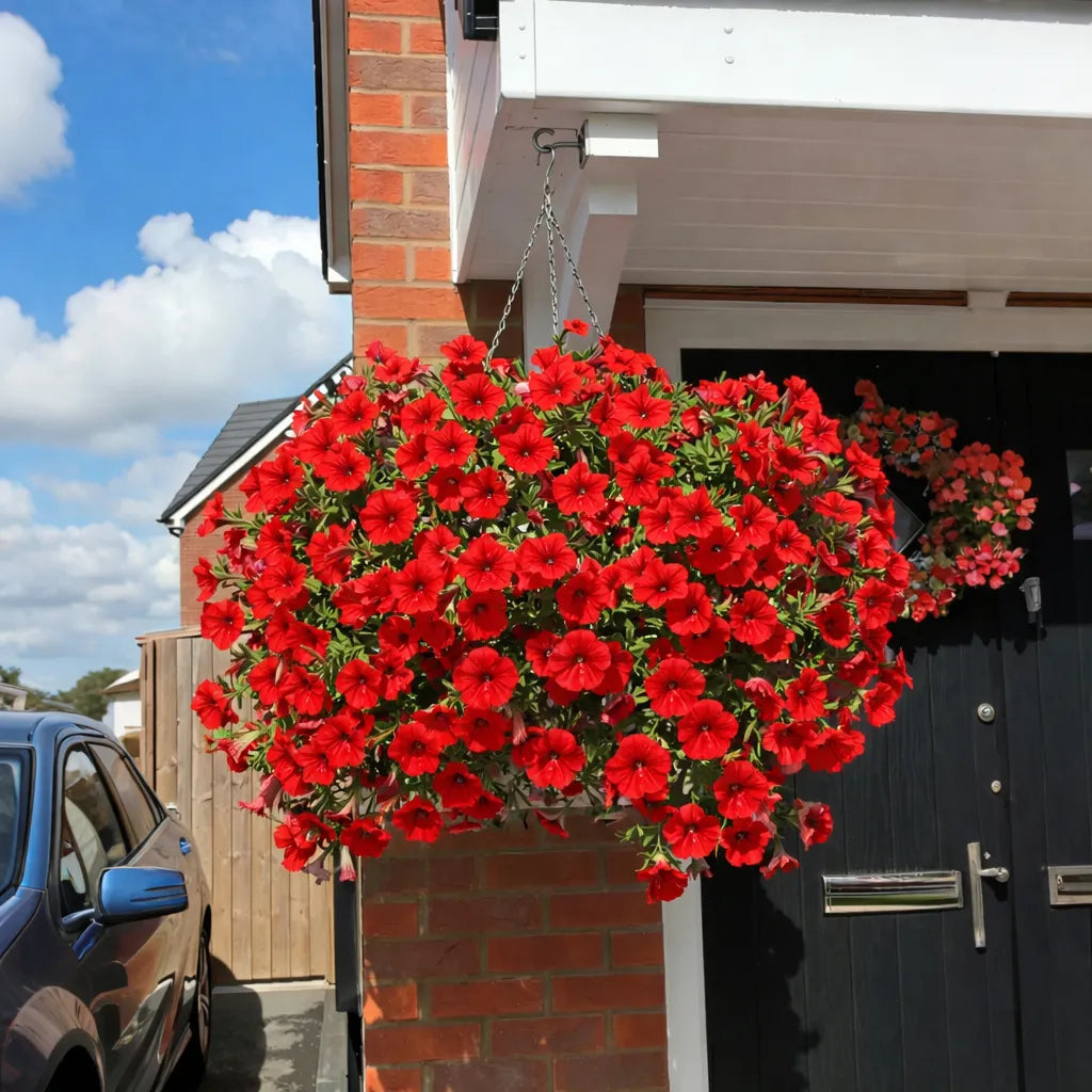 🌹Last Day 60% OFF🔥UV Resistant Artificial Petunias Flowers