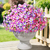 🔥Last Day 50% OFF🔥UV Resistant Artificial Trumpet Flowers