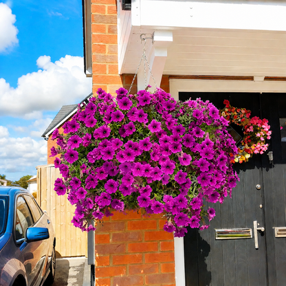 🌹Last Day 60% OFF🔥UV Resistant Artificial Petunias Flowers