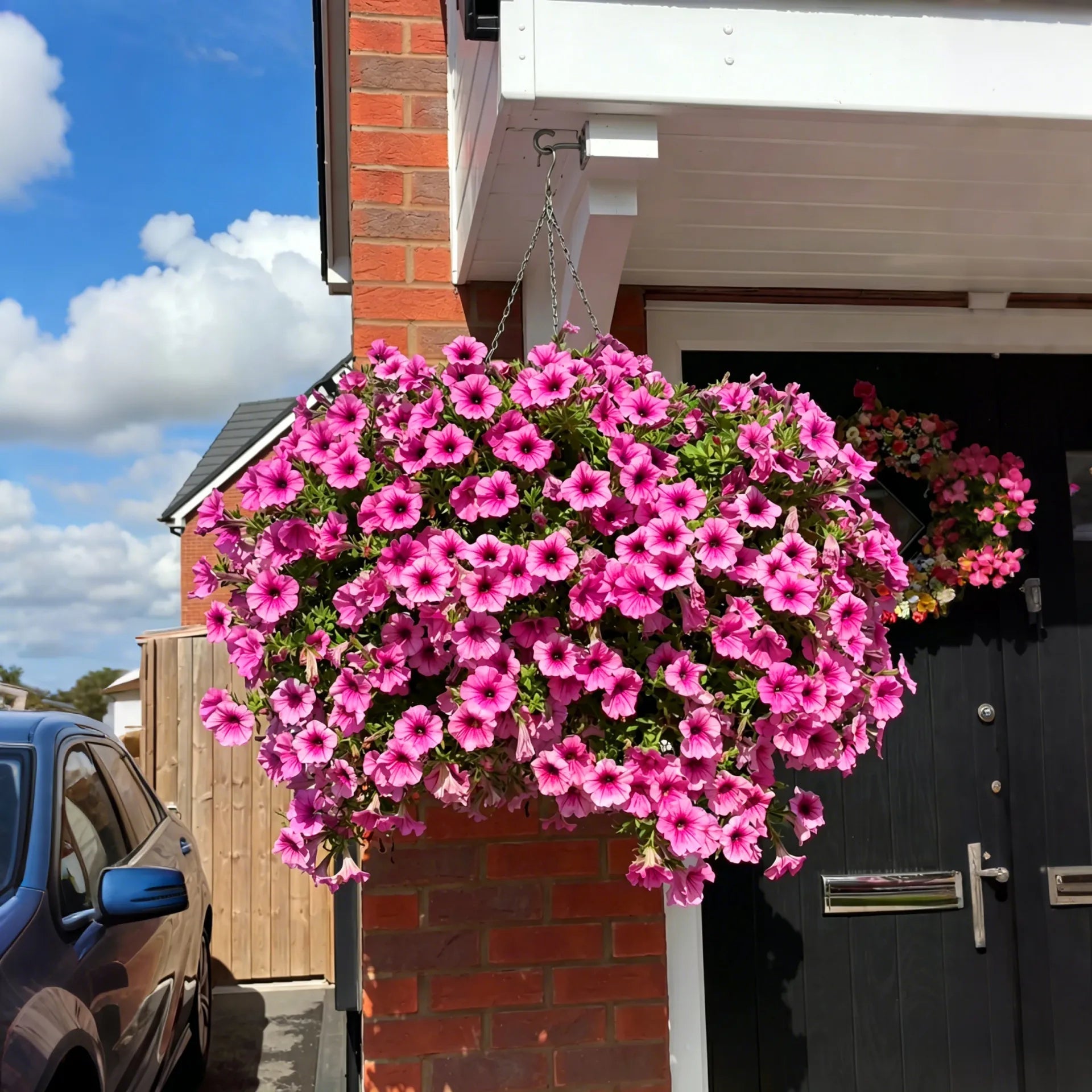 🌹Last Day 60% OFF🔥UV Resistant Artificial Petunias Flowers