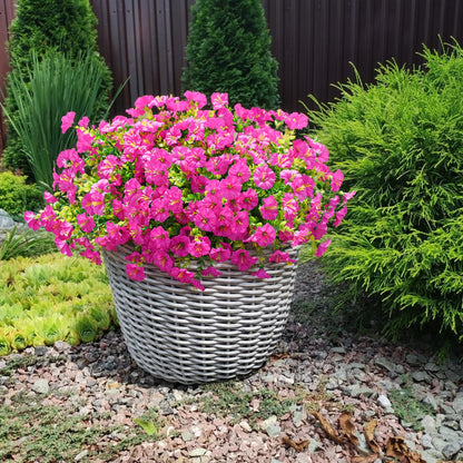 🌹Last Day 60% OFF🔥UV Resistant Artificial Petunias Flowers